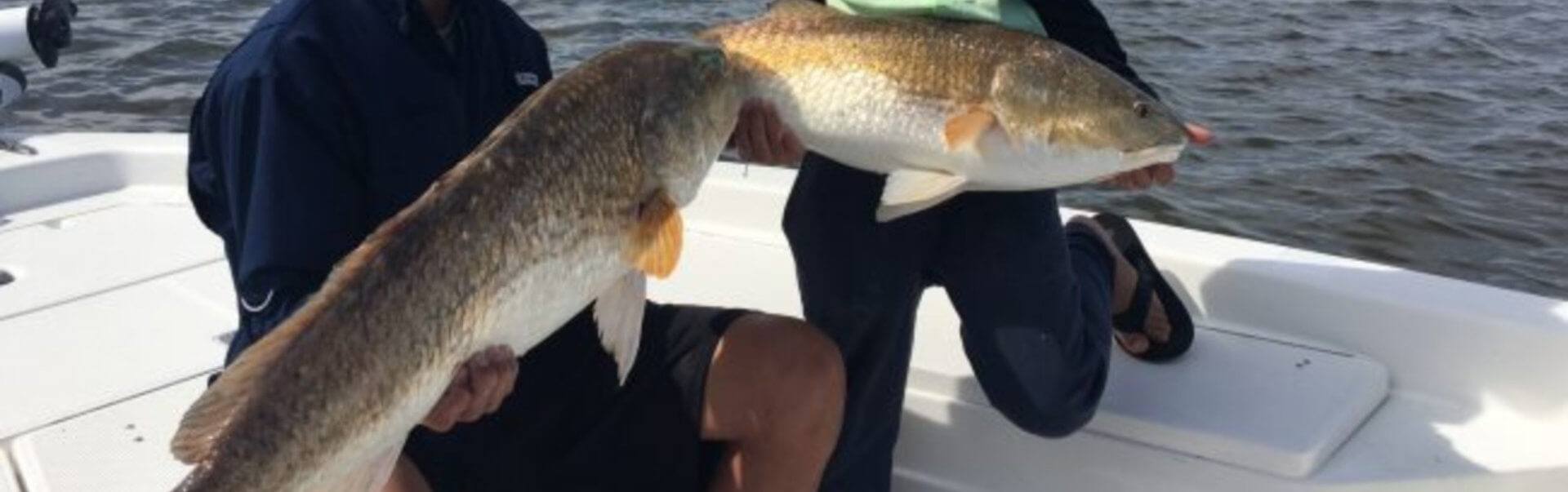 Speckled Trout caught on inshore fishing charter in Venice, LA