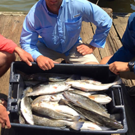 Speckled Trout caught on backwater fishing charter