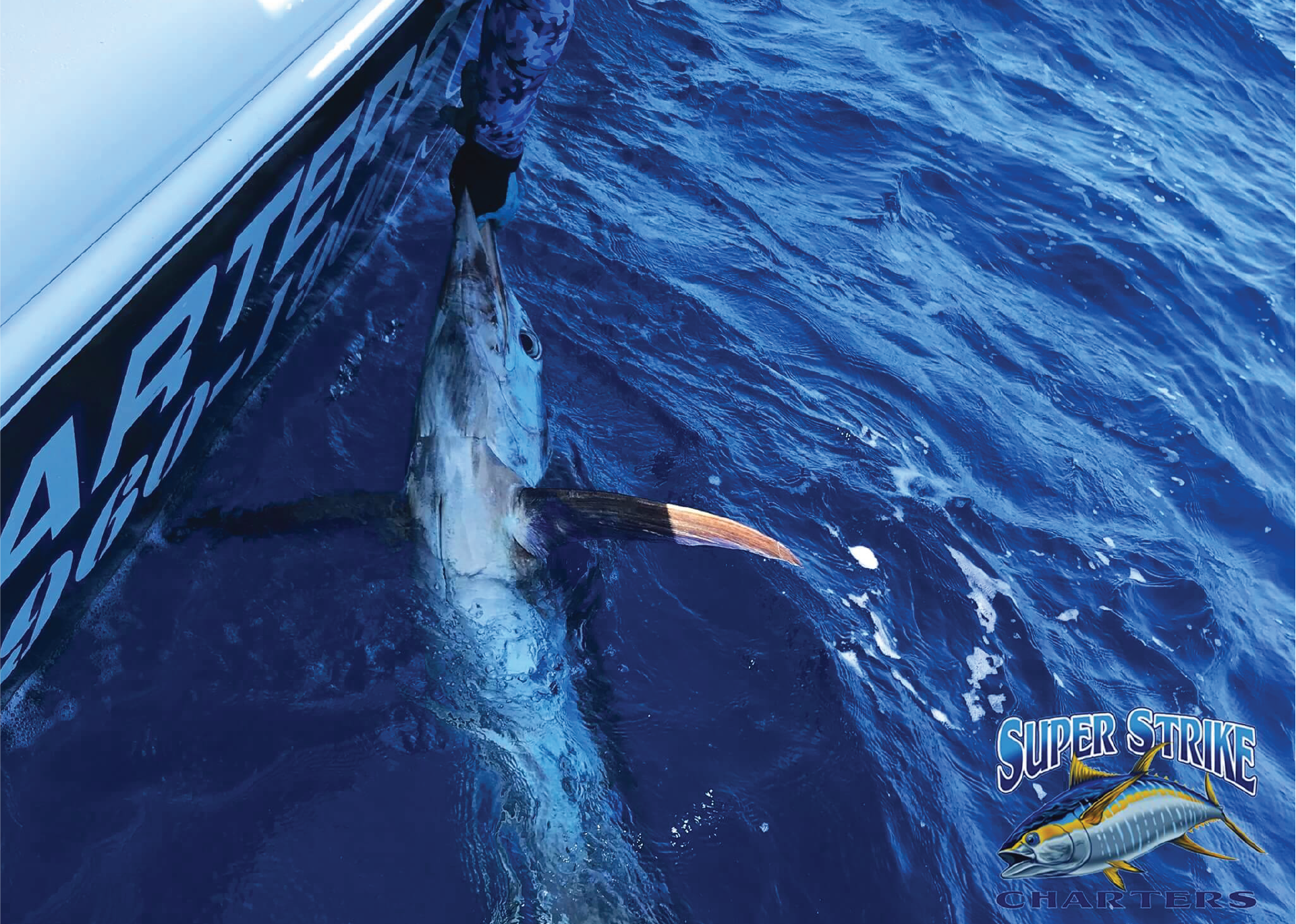 Blue Marlin fishing deep sea fishing charter in Venice, Louisiana