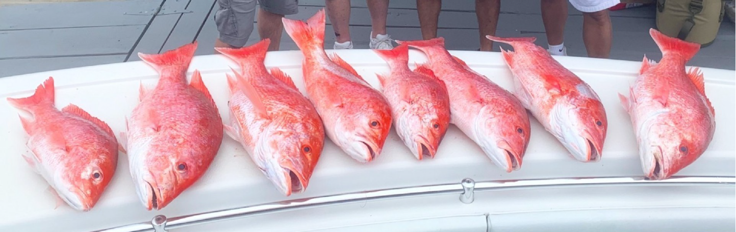 Red snapper fishing charters in Venice, Louisiana