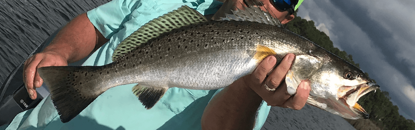 Speckled trout fishing charters in Venice, Louisiana