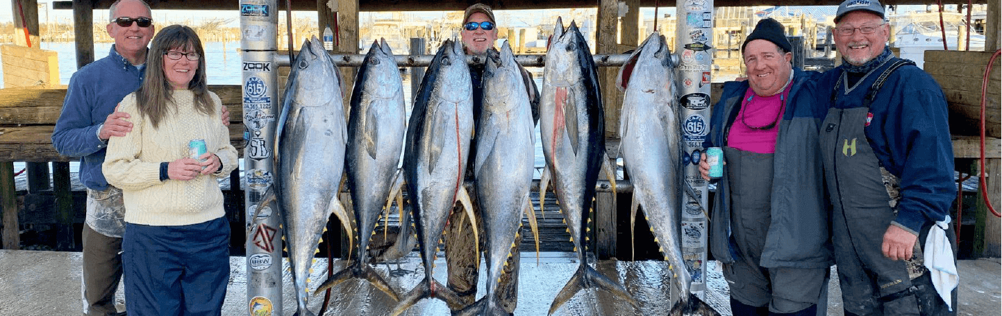 Yellowfin Tuna fishing charters in Venice, Louisiana