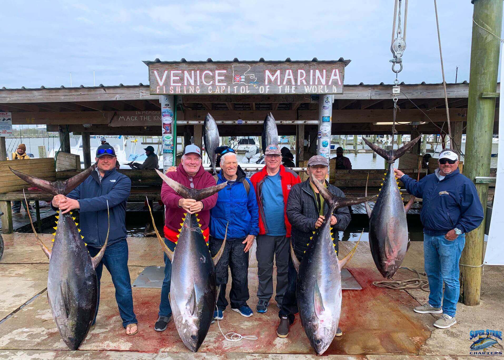 Yellowfin Tuna caught on fishing charter in Venice, Louisiana